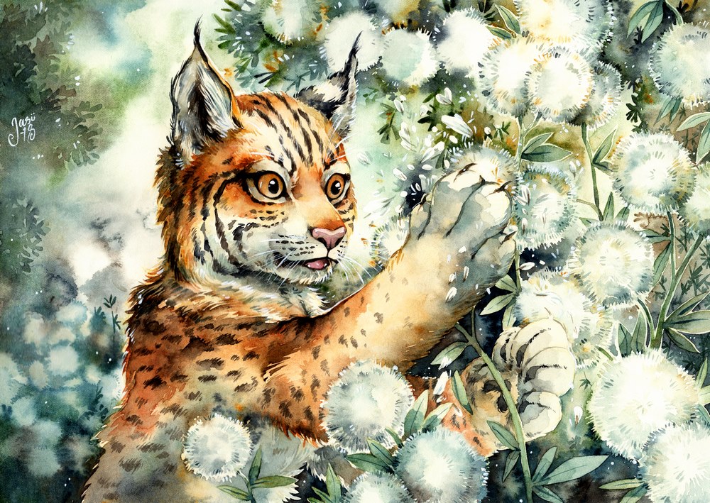 Original Painting - Lynx Cub